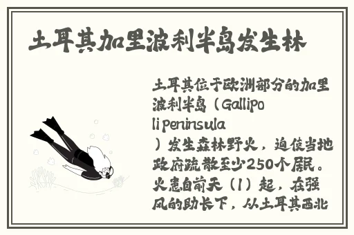 女生吃坤巴难道不恶心吗